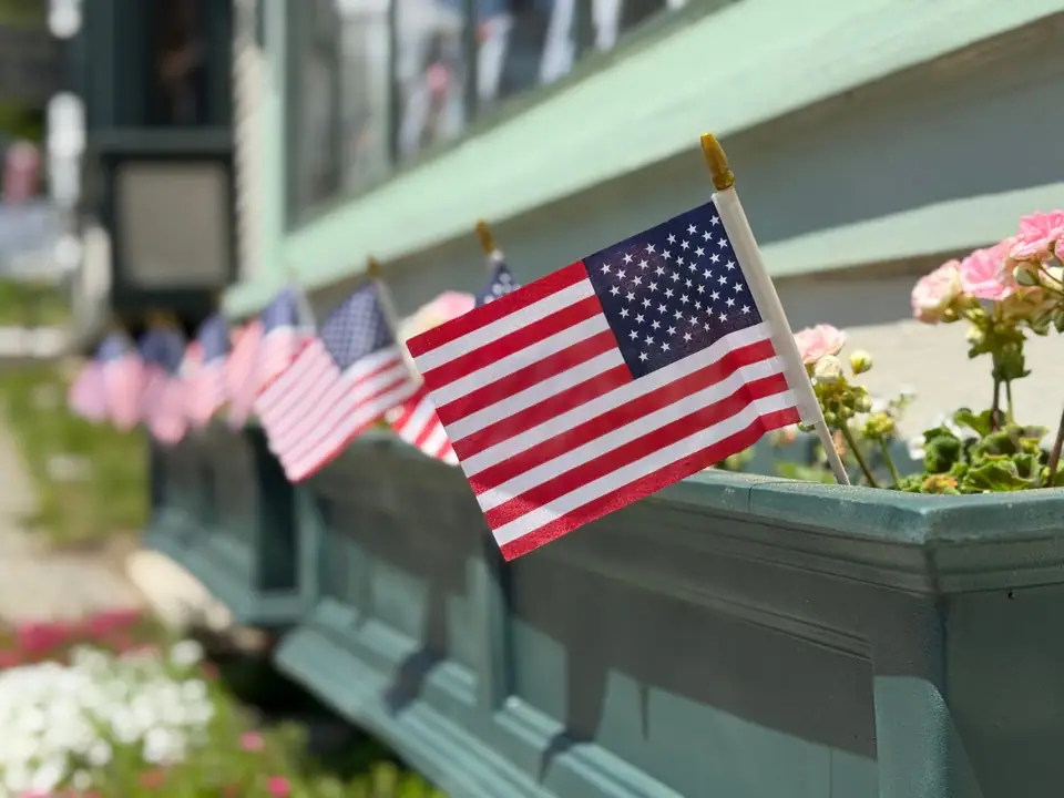 A row of small American flags in a green window flower box with pink geraniums